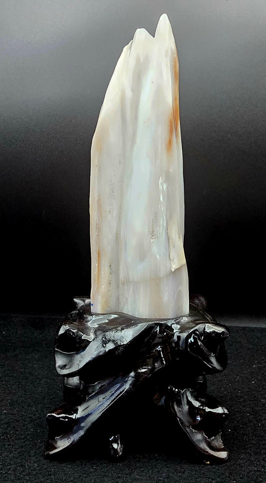 Petrified Wood w/stand  8 3/4" H x 3 3/4" W -#1