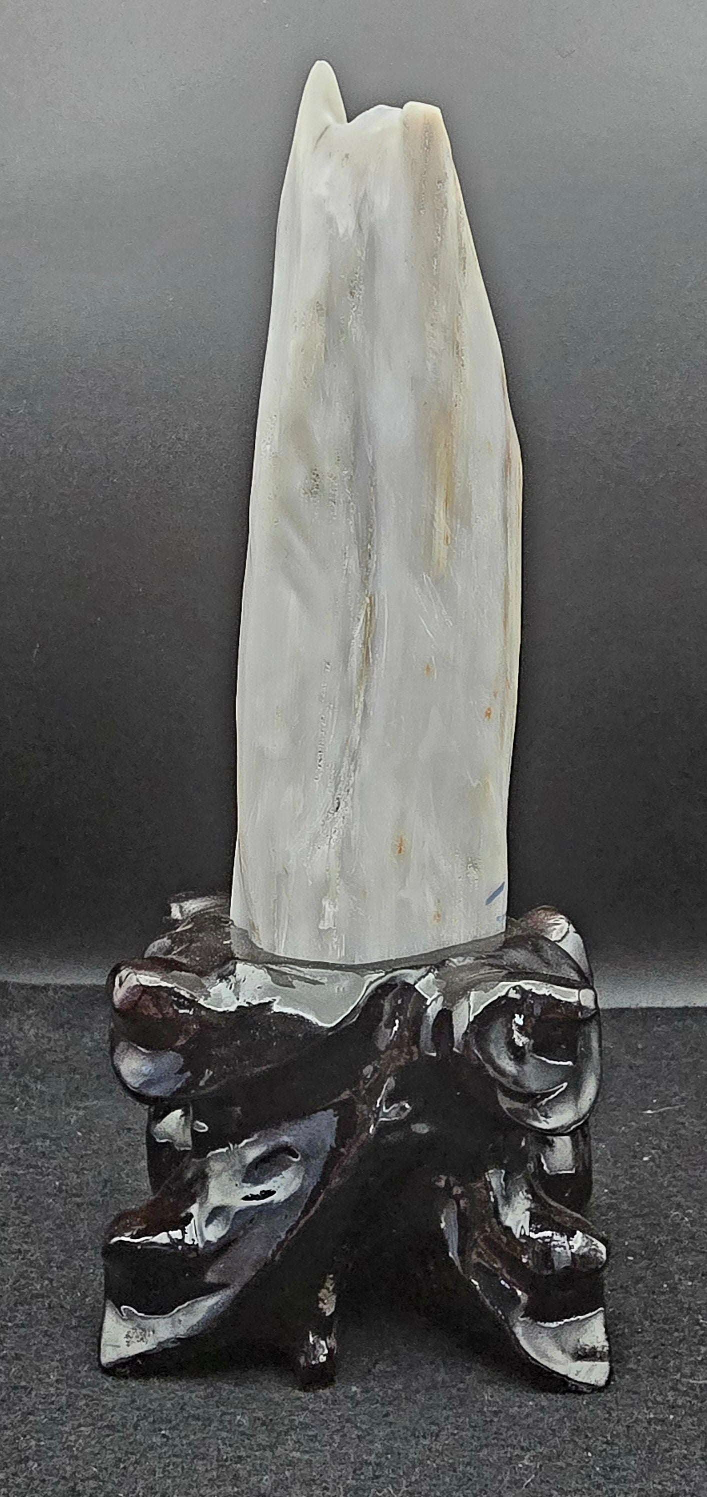 Petrified Wood w/stand 8 3/4" H x 3 3/4" W -#1