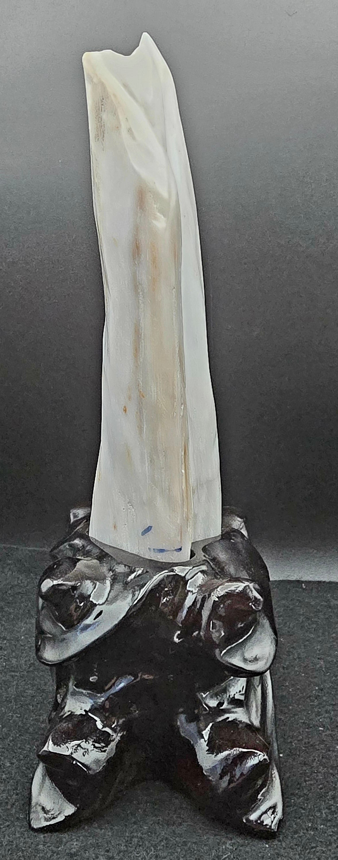 Petrified Wood w/stand 8 3/4" H x 3 3/4" W -#1