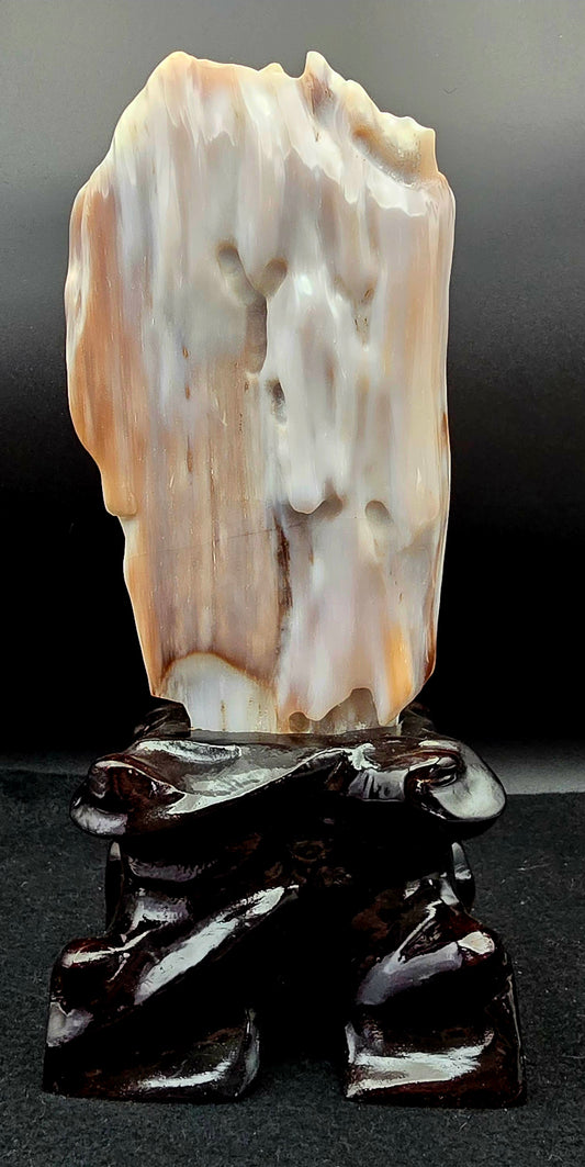 Petrified Wood w/stand  9 1/2"" H x 4 1/2" W -#2