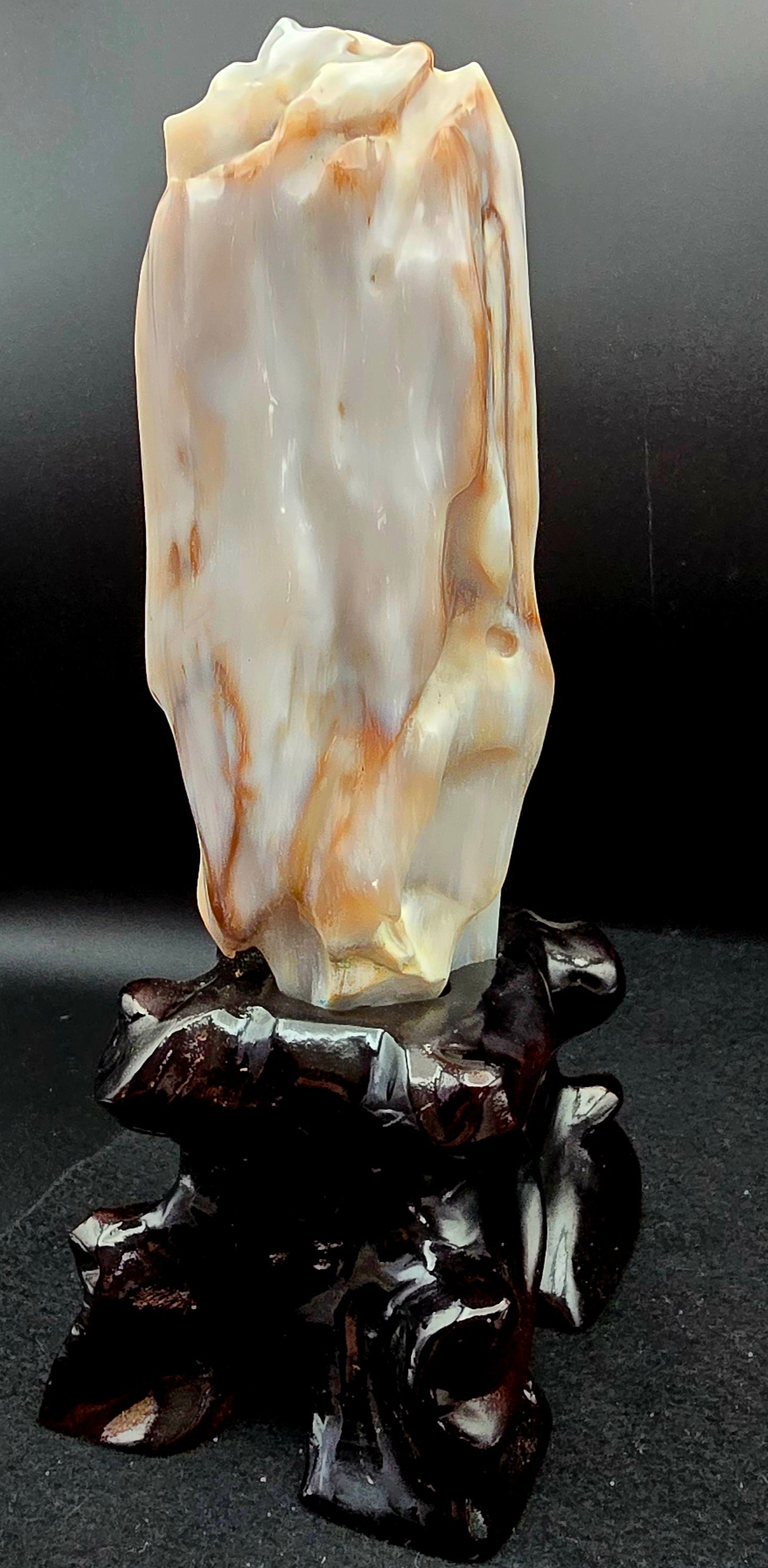Petrified Wood w/stand 9 1/2"" H x 4 1/2" W -#2