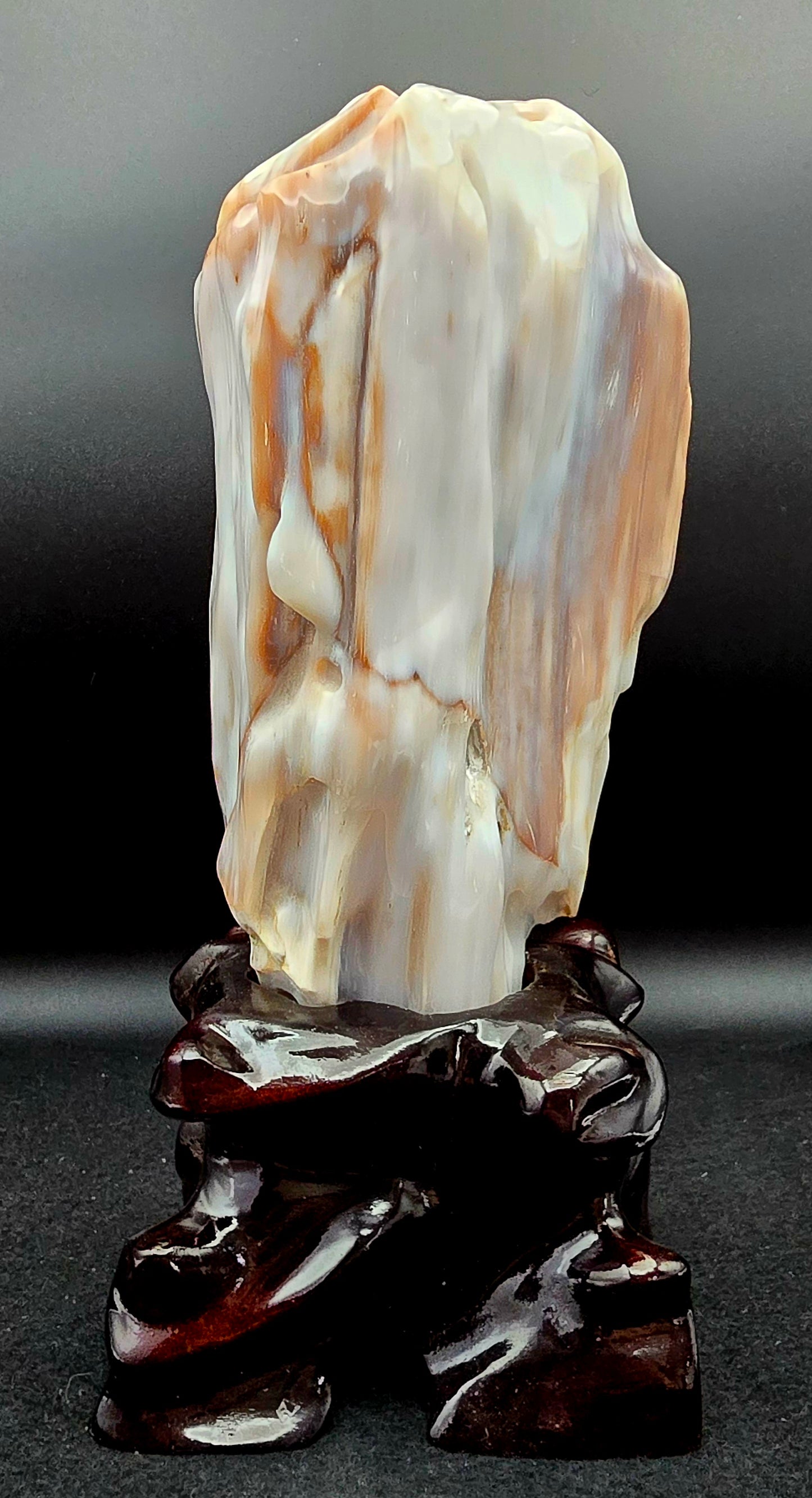 Petrified Wood w/stand 9 1/2"" H x 4 1/2" W -#2