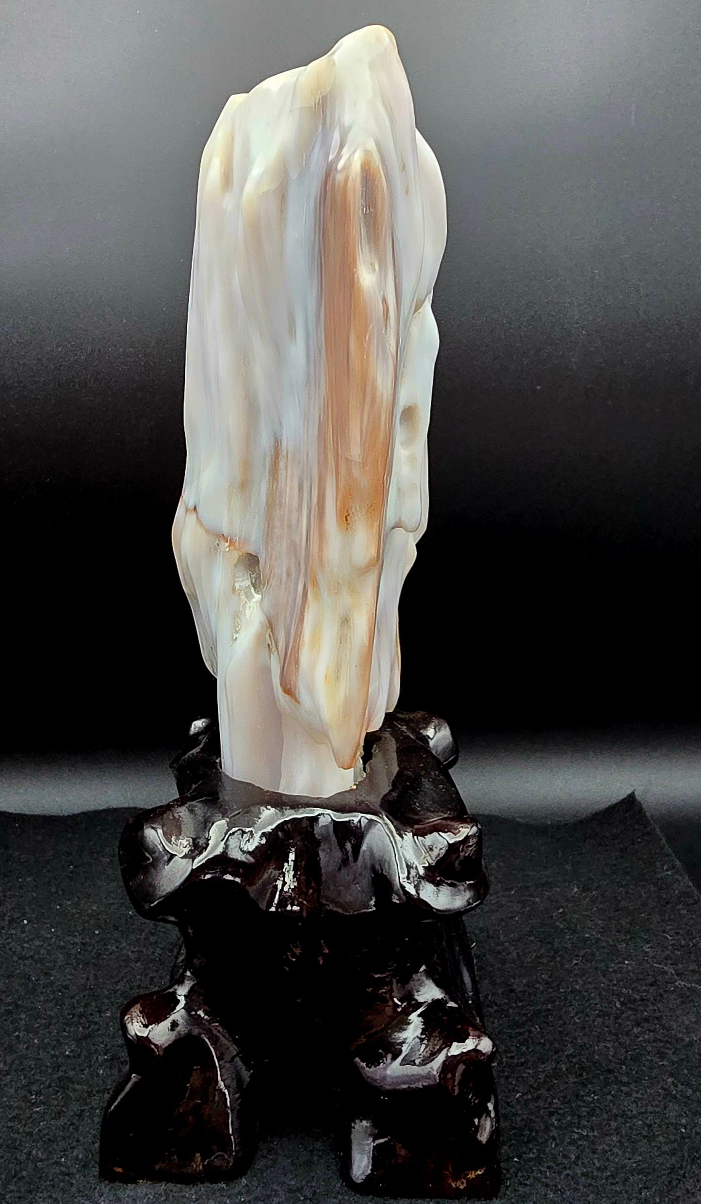 Petrified Wood w/stand 9 1/2"" H x 4 1/2" W -#2