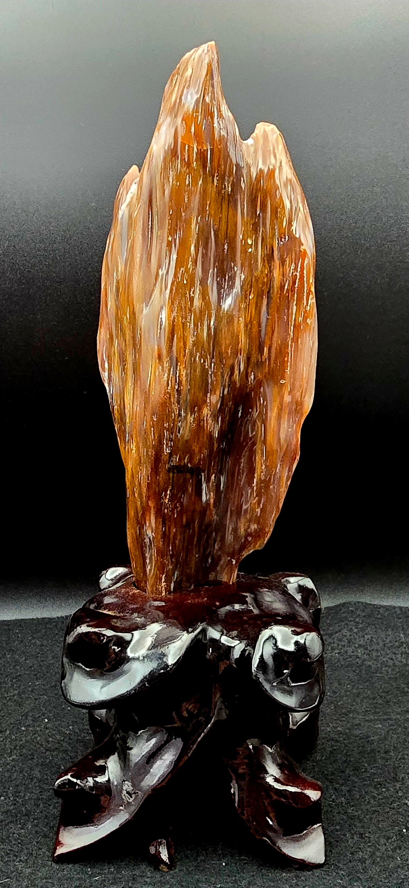 Petrified Wood w/stand 9 " H x 3" W -#3