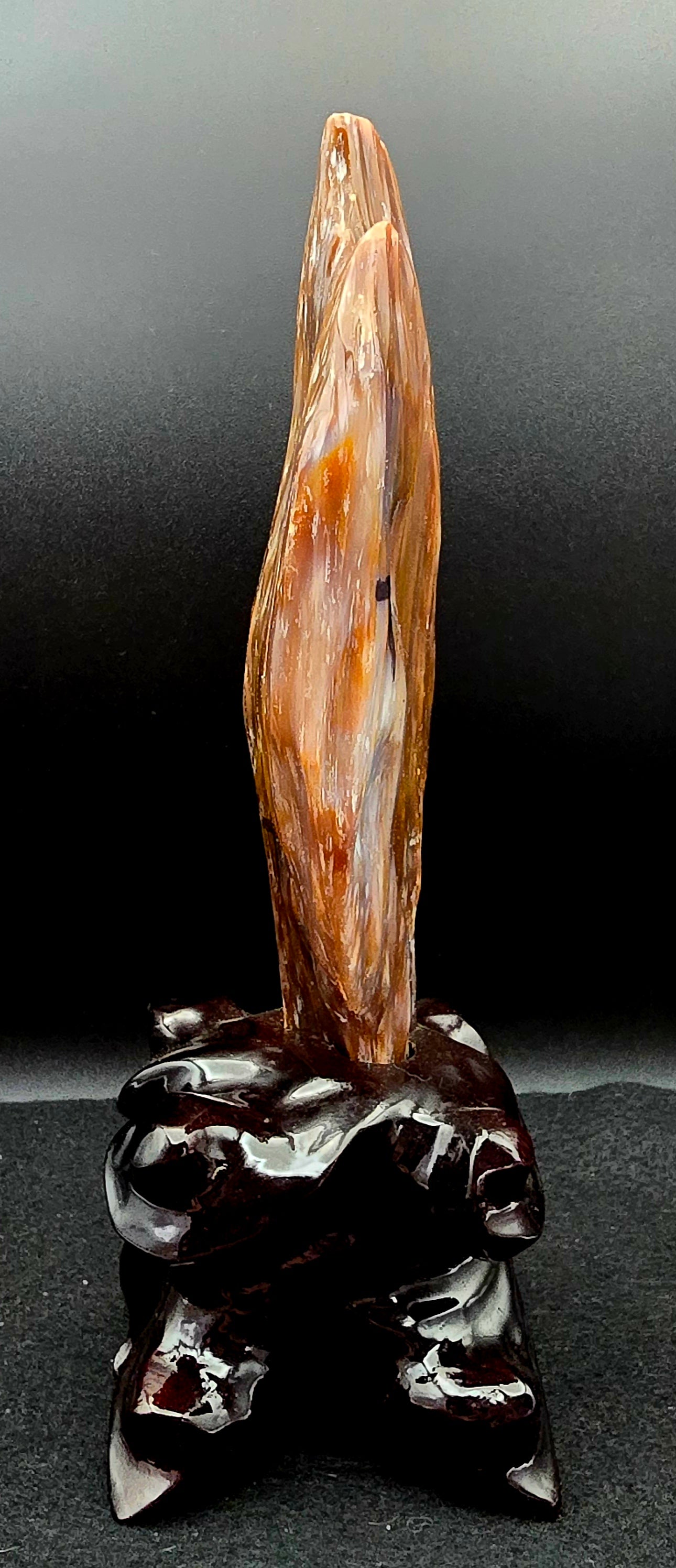 Petrified Wood w/stand 9 " H x 3" W -#3