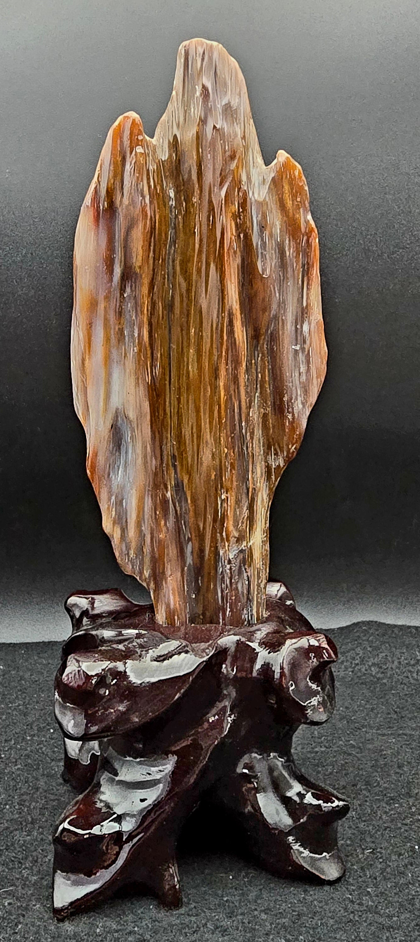 Petrified Wood w/stand 9 " H x 3" W -#3