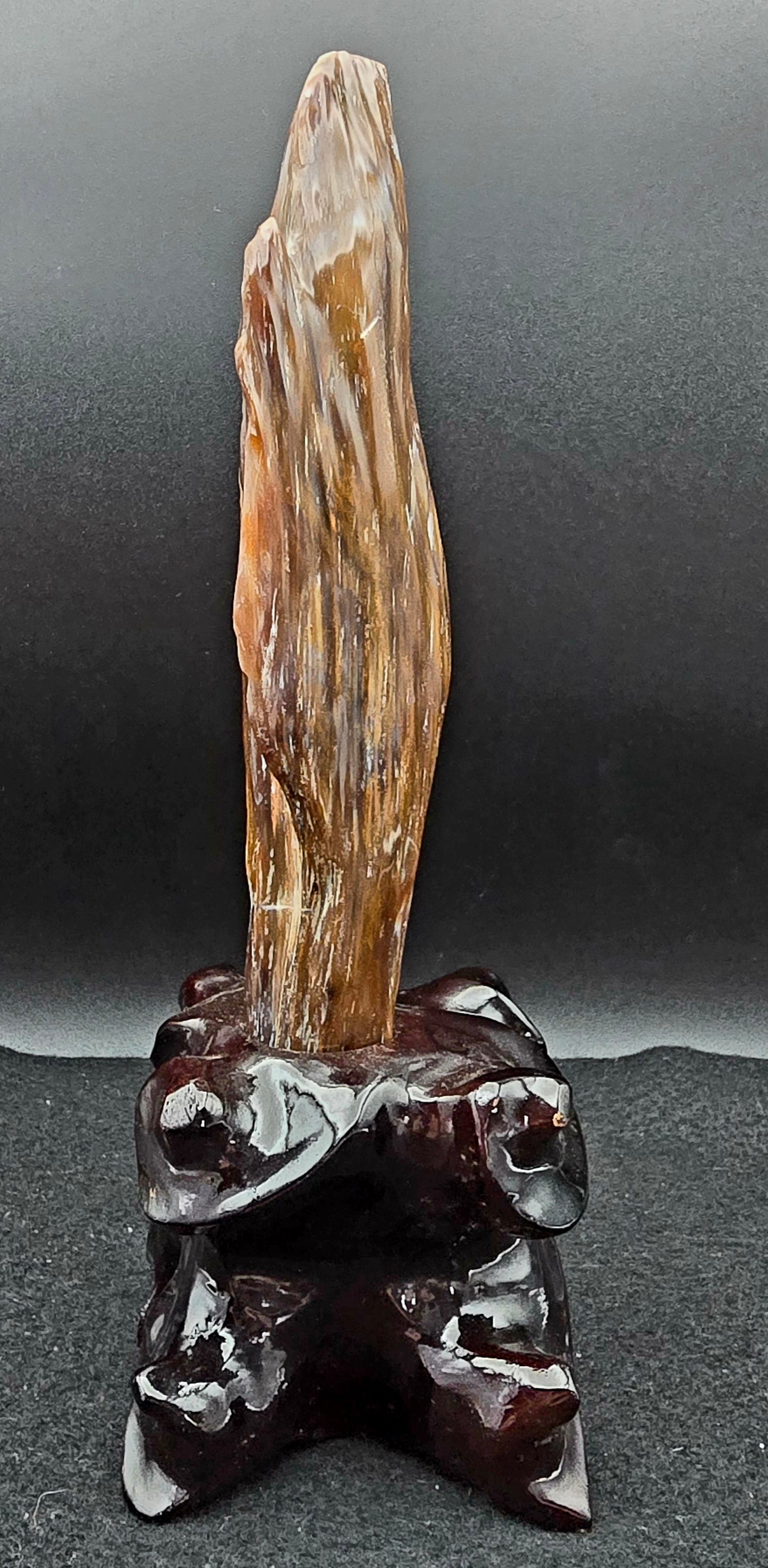 Petrified Wood w/stand 9 " H x 3" W -#3