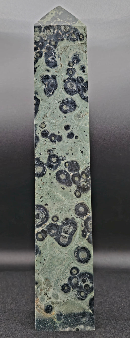 Kambaba Jasper Tower 12"H x 2" W #1