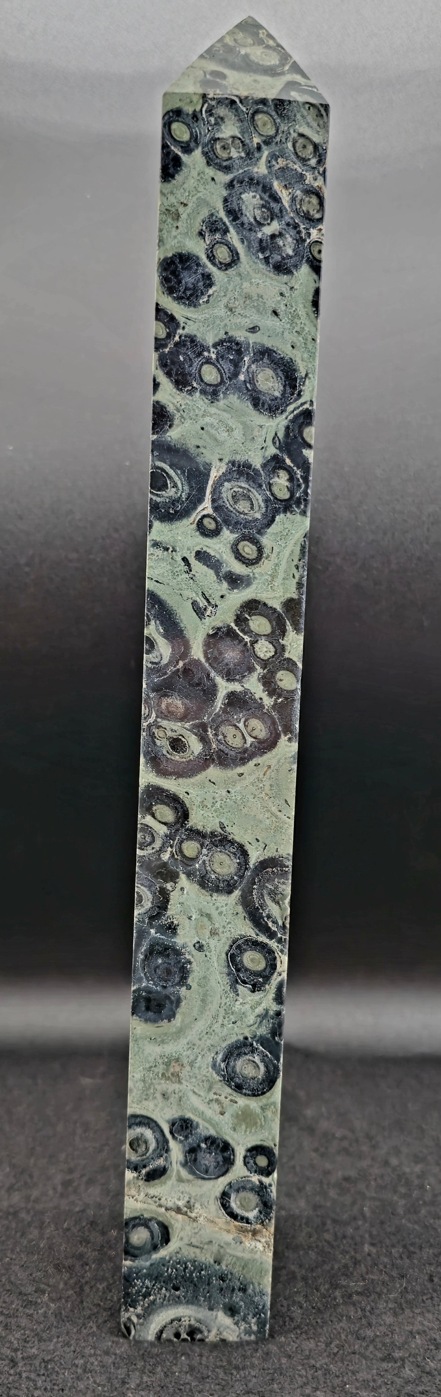 Kambaba Jasper Tower 12"H x 2" W #1