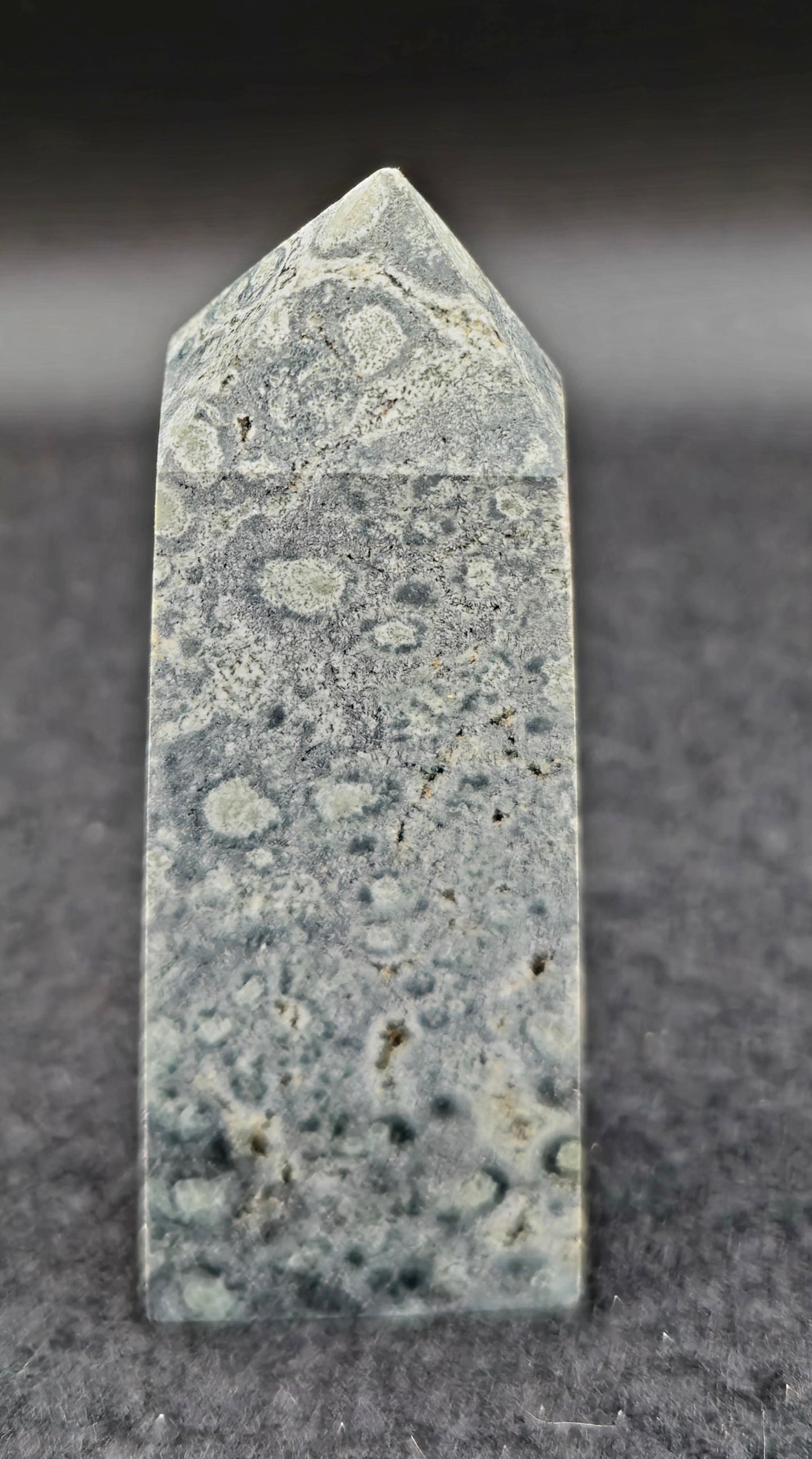 Kambaba Jasper Tower 3"H x 1 1/4"W #2