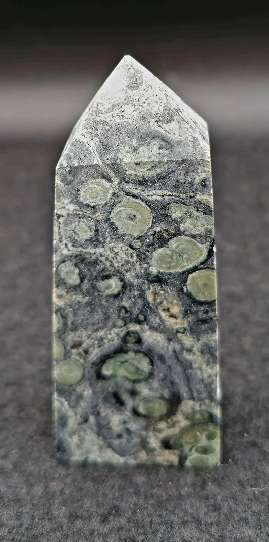 Kambaba Jasper Tower 3"H x 1  1/4"W  #2