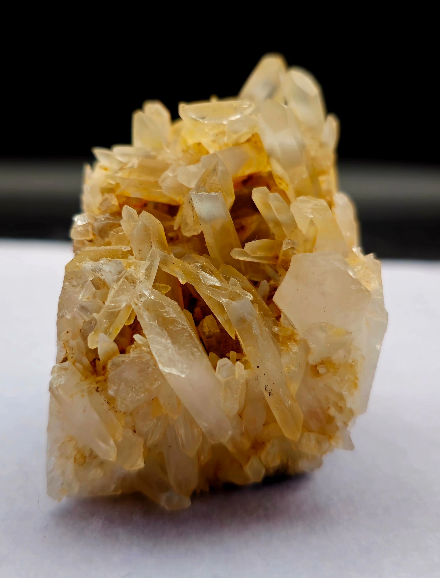 Dragon Head Quartz Point 3.5"- #1
