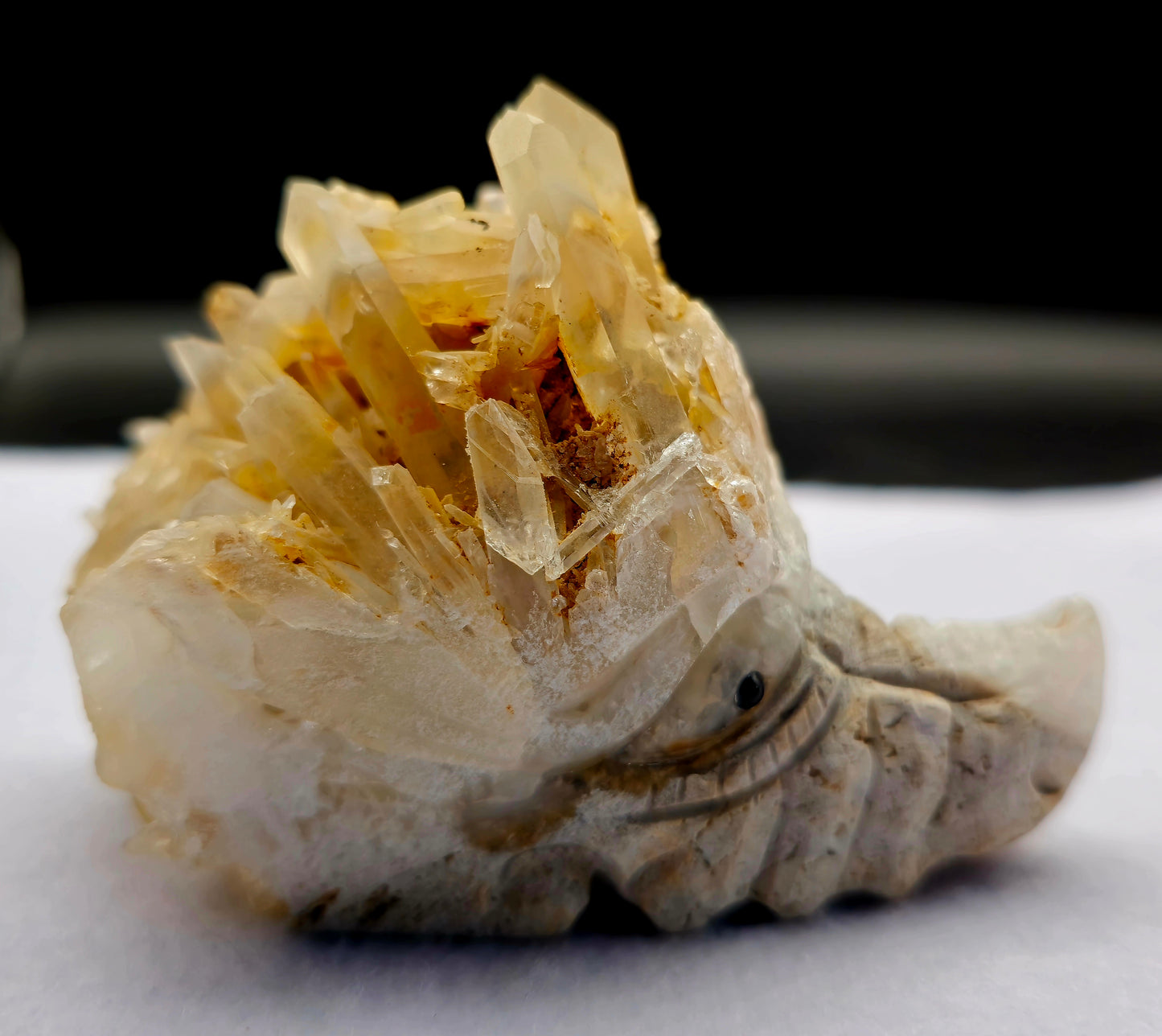 Dragon Head Quartz Point 3.5"- #1