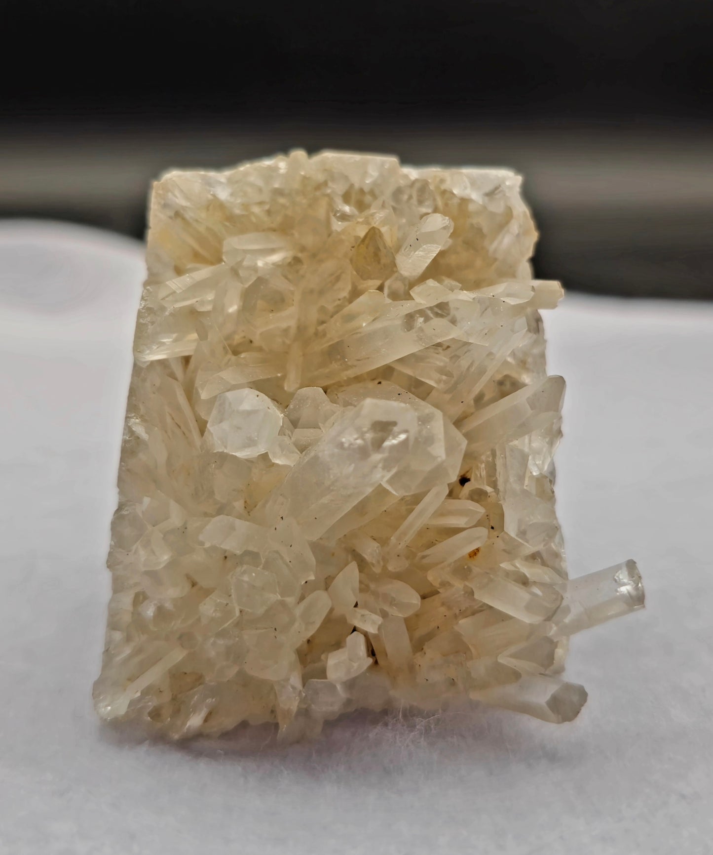 Dragon Head Quartz Point 3.5"- #3