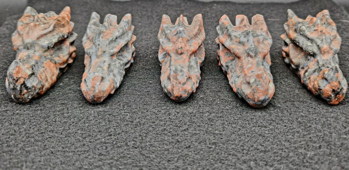 Dragon Head Red Que Sera 2.5"