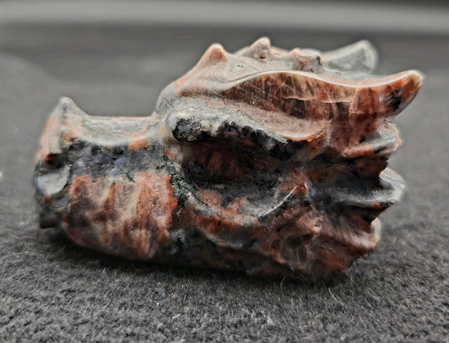 Dragon Head Red Que Sera 2.5"