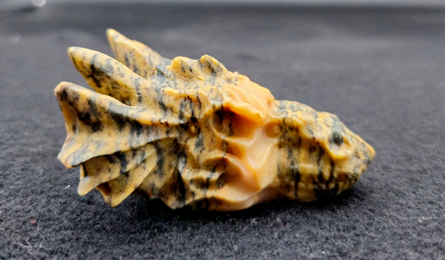 Dragon Head Tiger Skin Jasper 2.5"