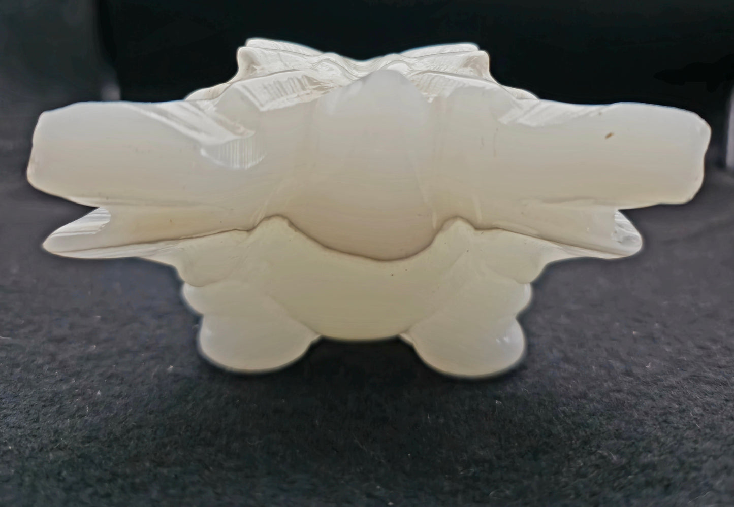 Dragon Head Onyx 5.5"