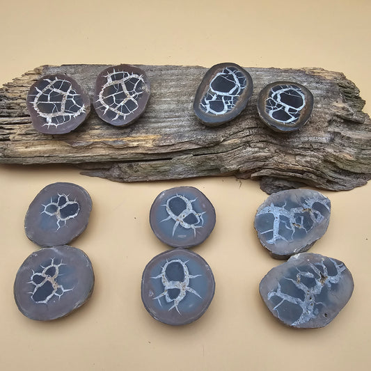 Septarian Thunder Egg Fossil