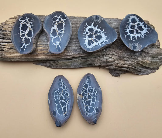 Septarian Thunder Egg Fossil 2.5"