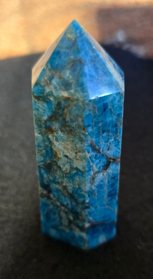 Blue Appetite Tower 3.0"-#2