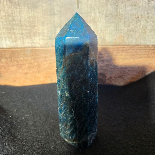 Blue Appetite Tower 5.2"-#5