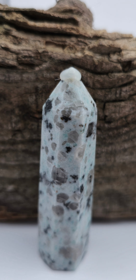 Kiwi Jasper Tower #1