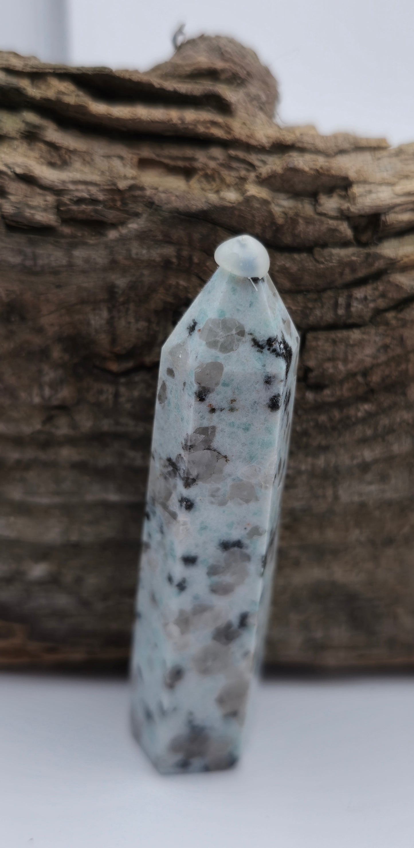 Kiwi Jasper Tower #1