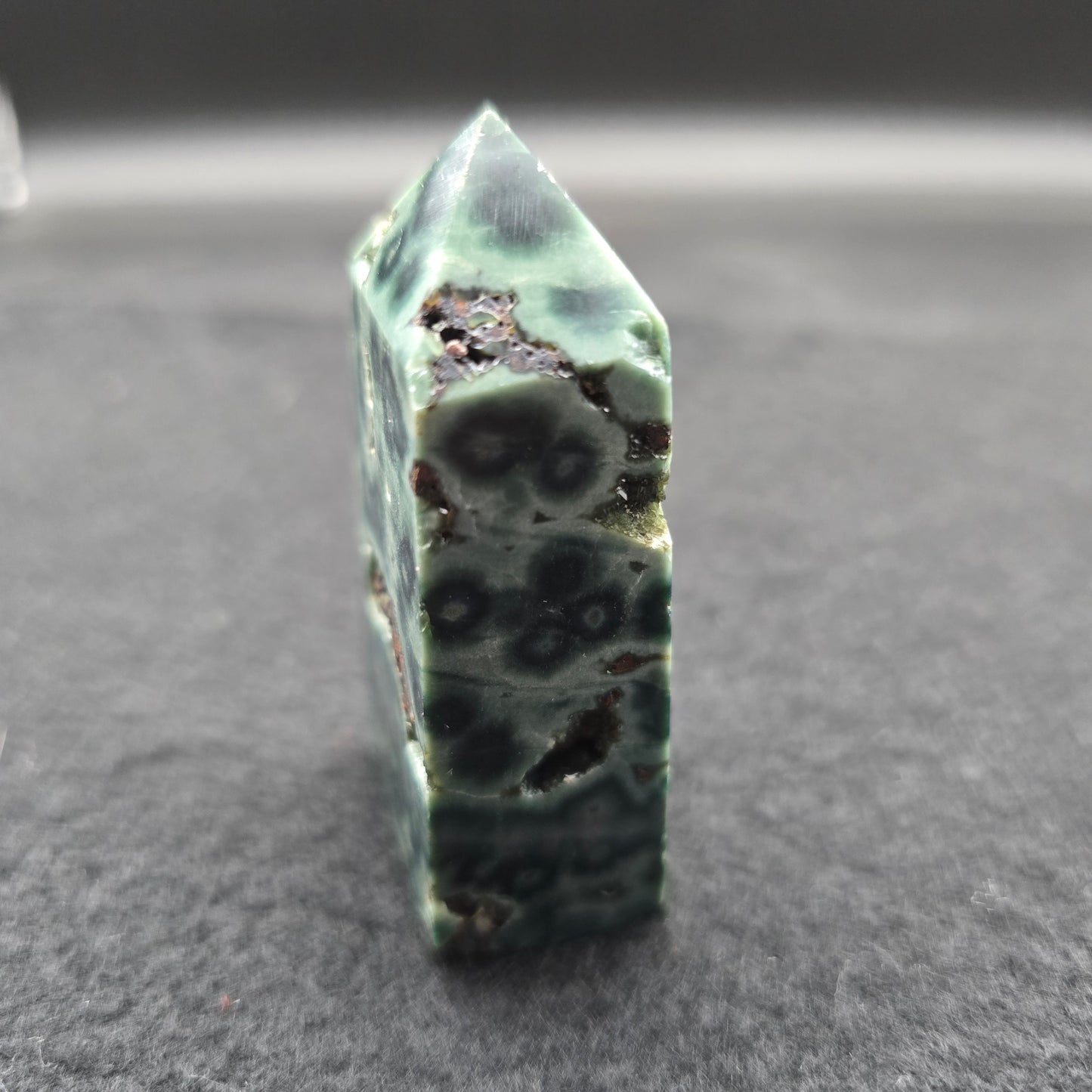 Ocean Jasper Tower #2