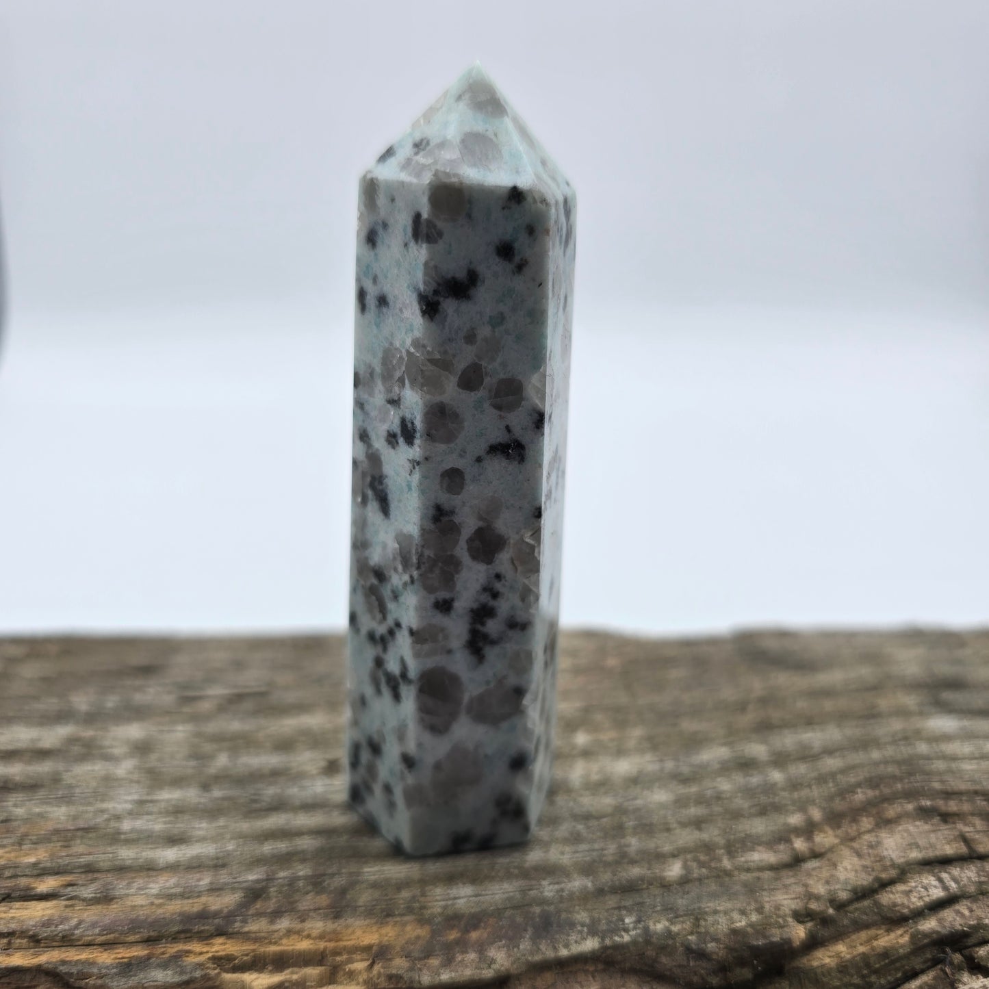 Kiwi Jasper Tower #3