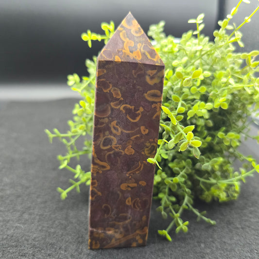 Fruit Jasper Tower-5.1" #3