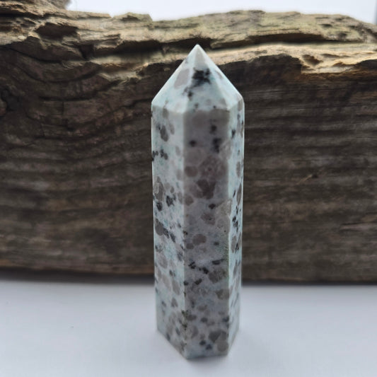 Kiwi Jasper Tower #2