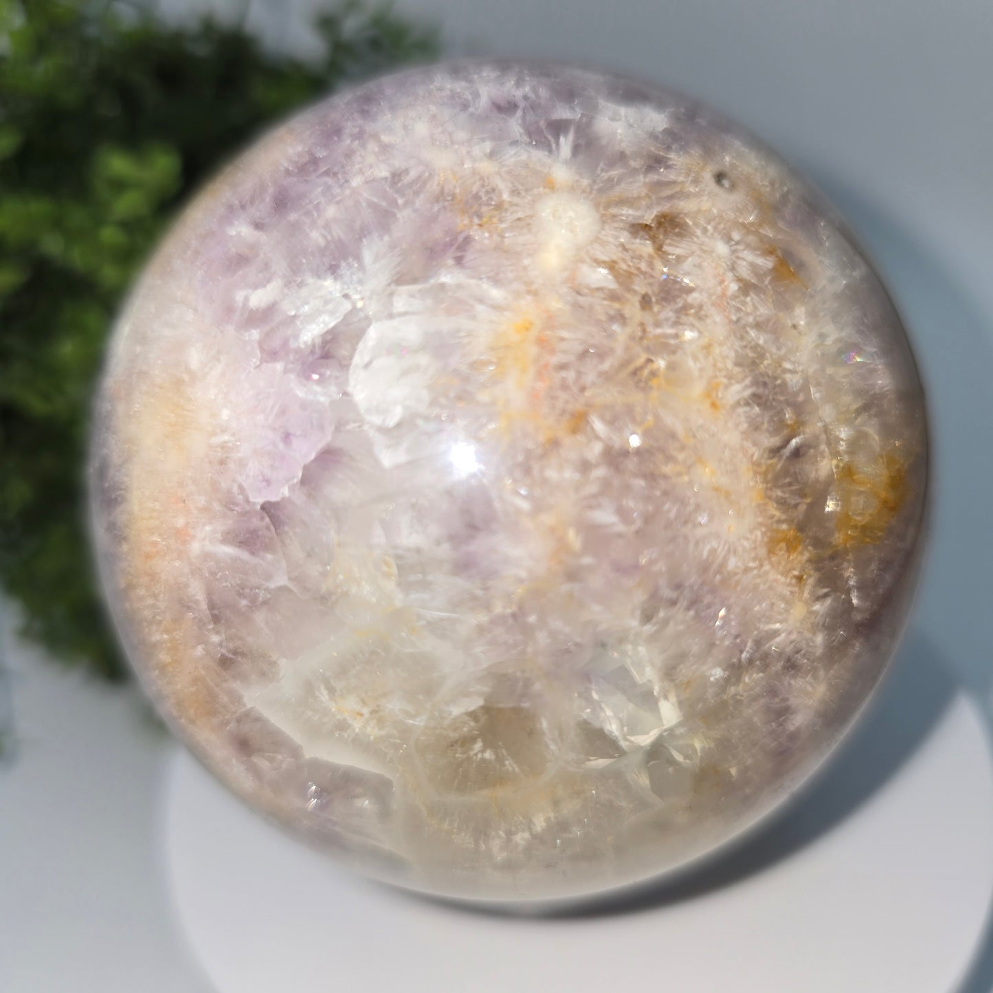 Amethyst Flower Agate w/Golden Healer 87MM-#1