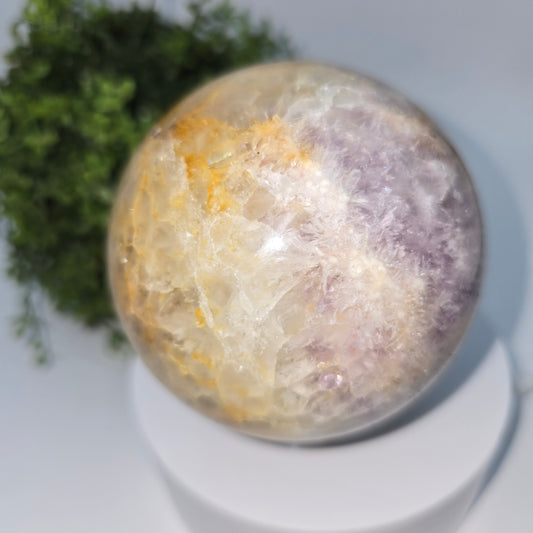 Amethyst Flower Agate w/Golden Healer 87MM-#1