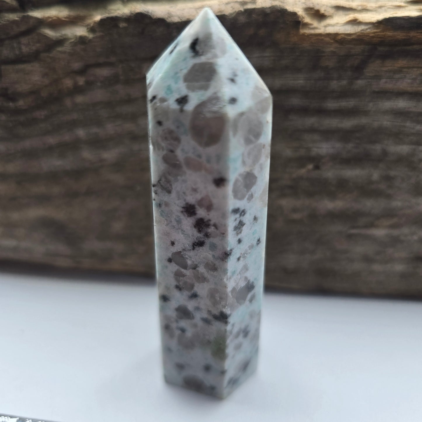 Kiwi Jasper Tower #2