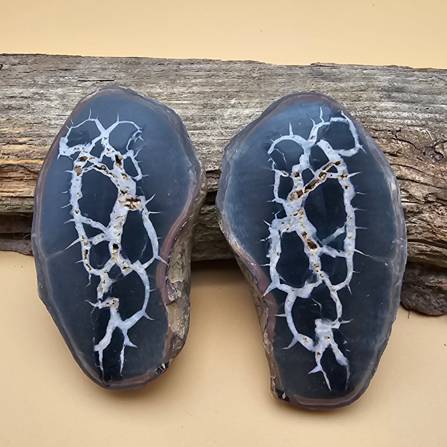 Septarian Thunder Egg Fossil 2.5"