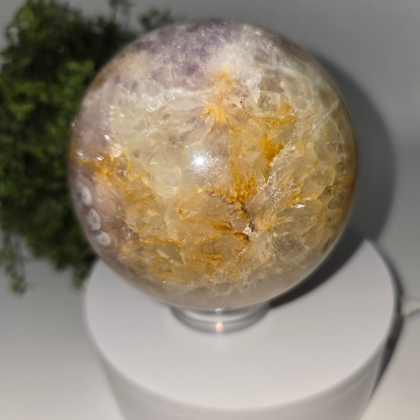 Amethyst Flower Agate w/Golden Healer 87MM-#1