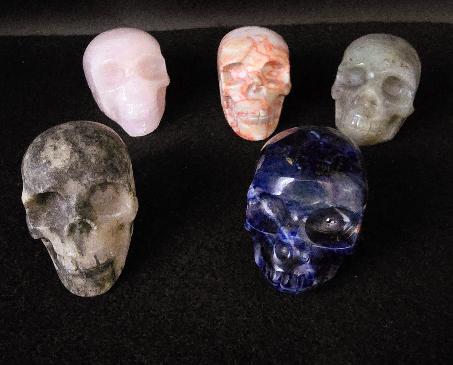 Skulls 2"-2 1/2"