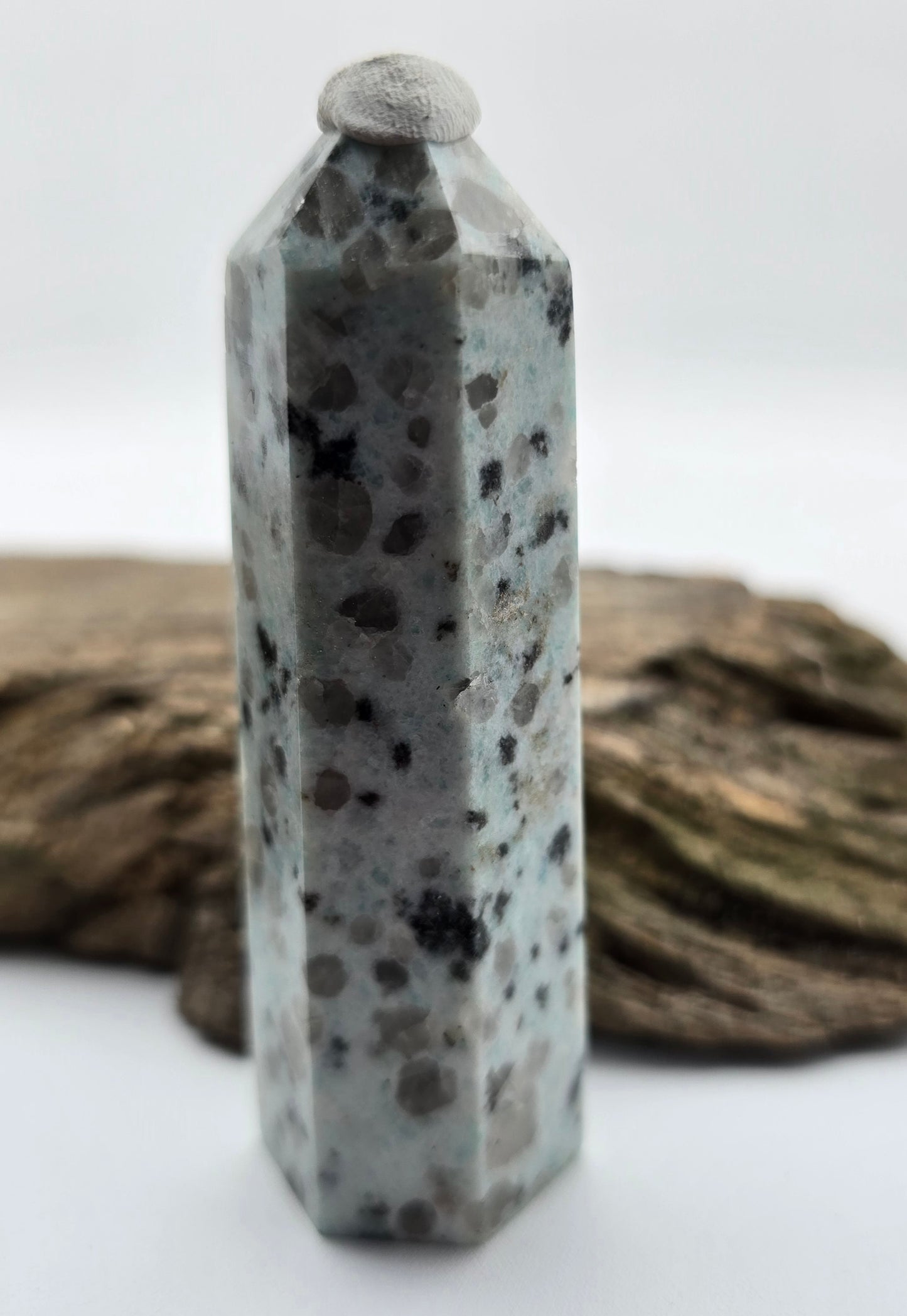 Kiwi Jasper Tower #4