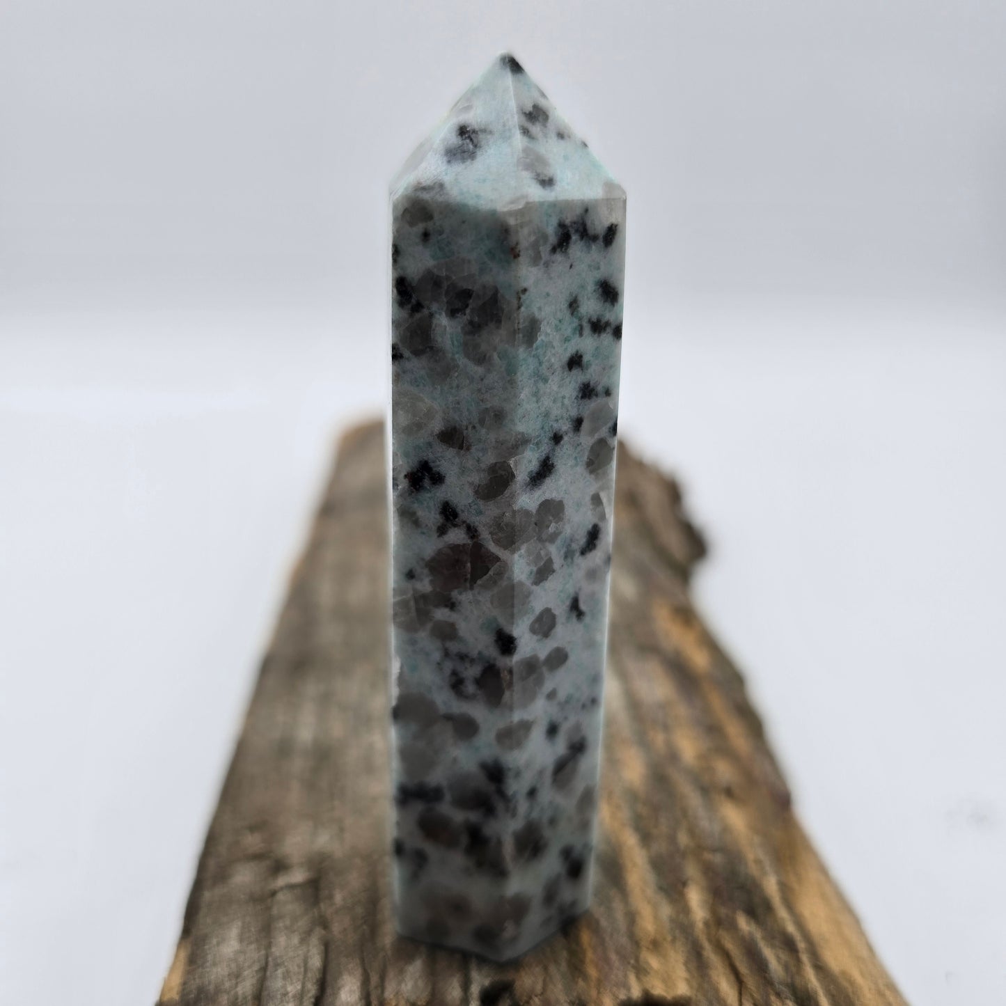 Kiwi Jasper Tower #5