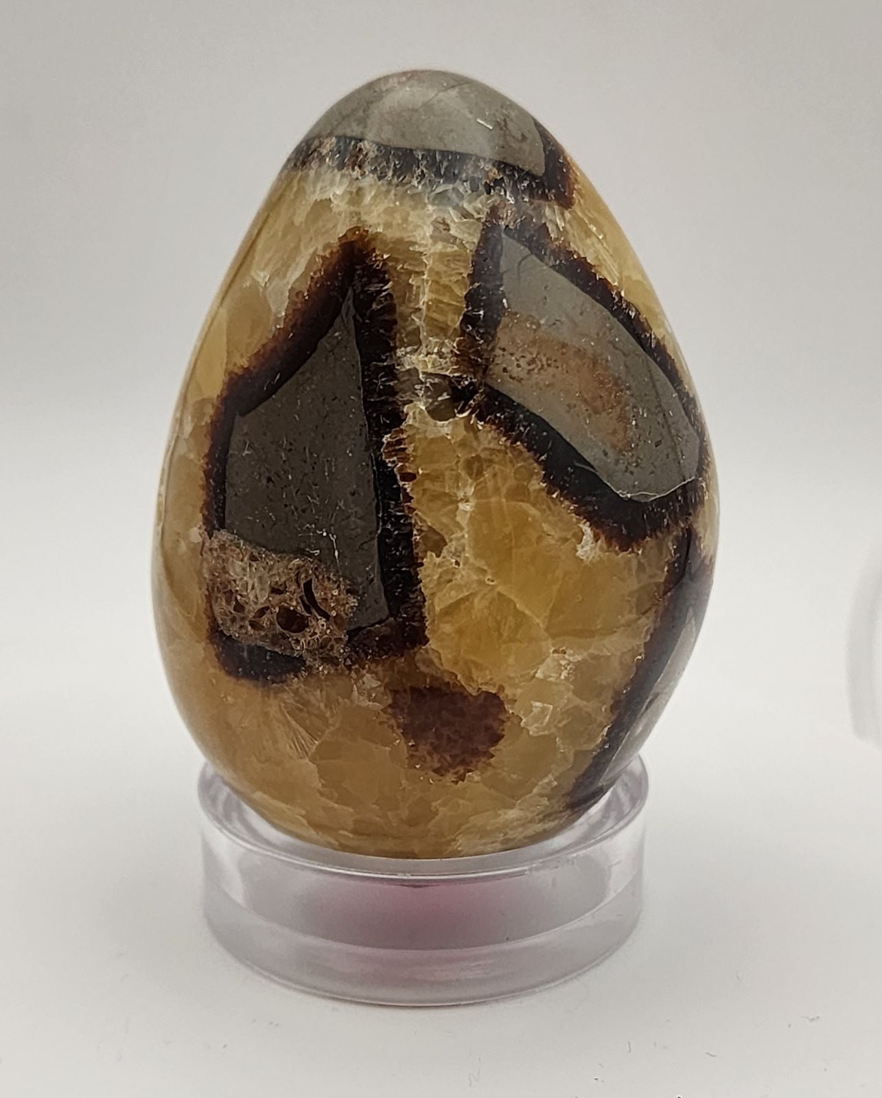 Septarian Egg 68 X 48 MM ~#2