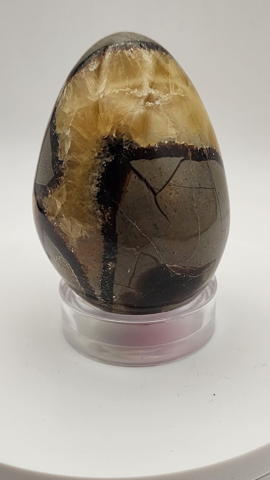 Septarian Egg 68 X 48 MM ~#2